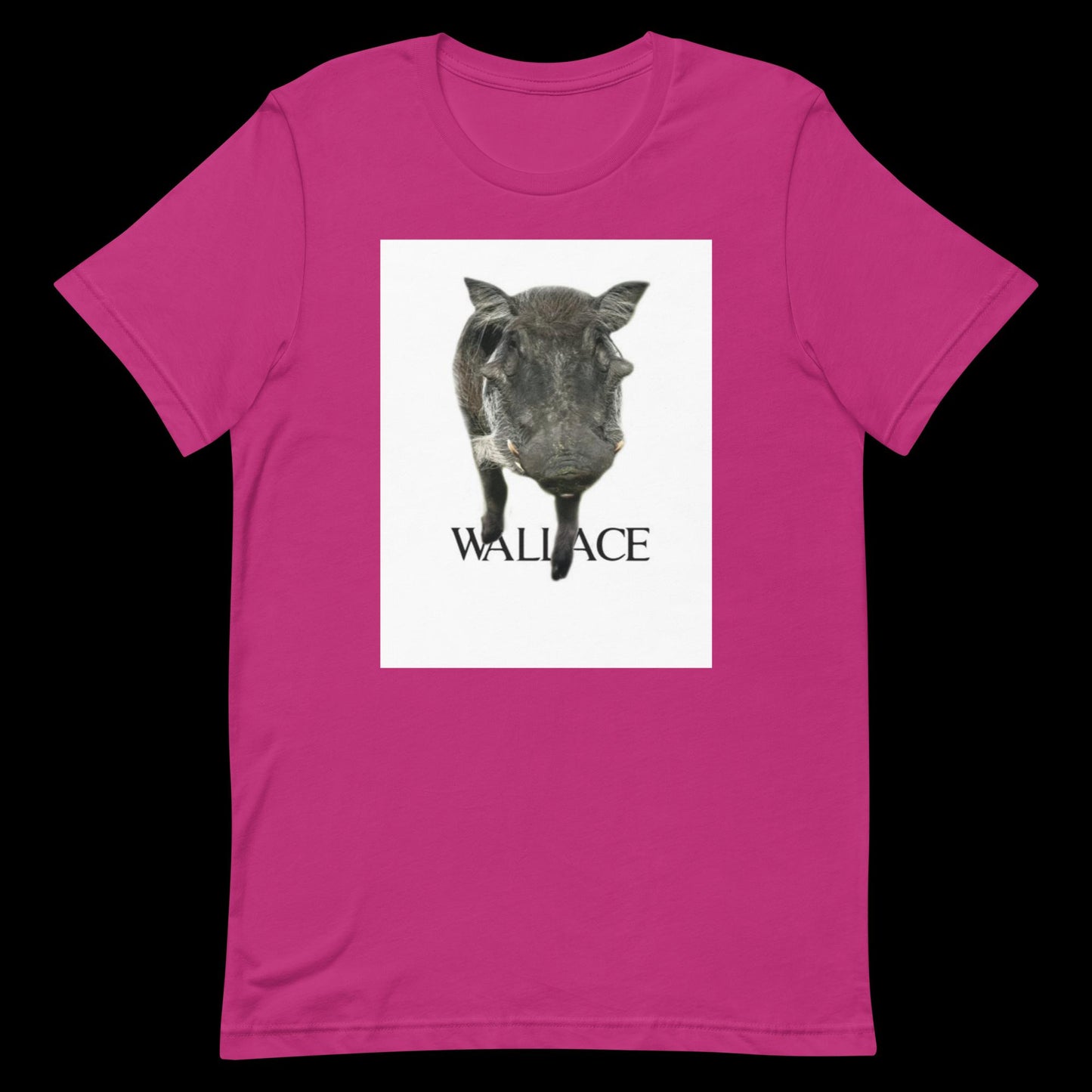 Unisex t-shirt