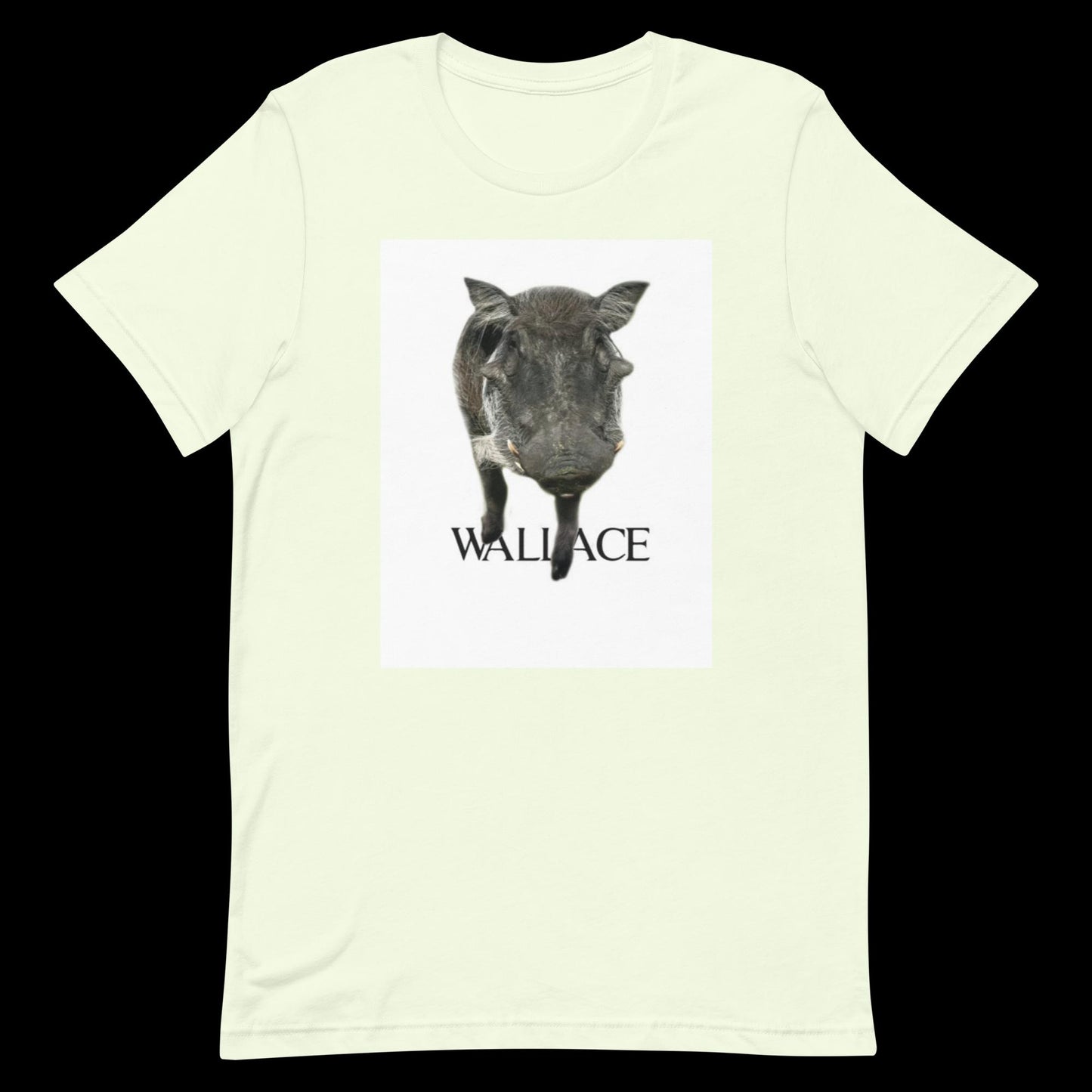 Unisex t-shirt