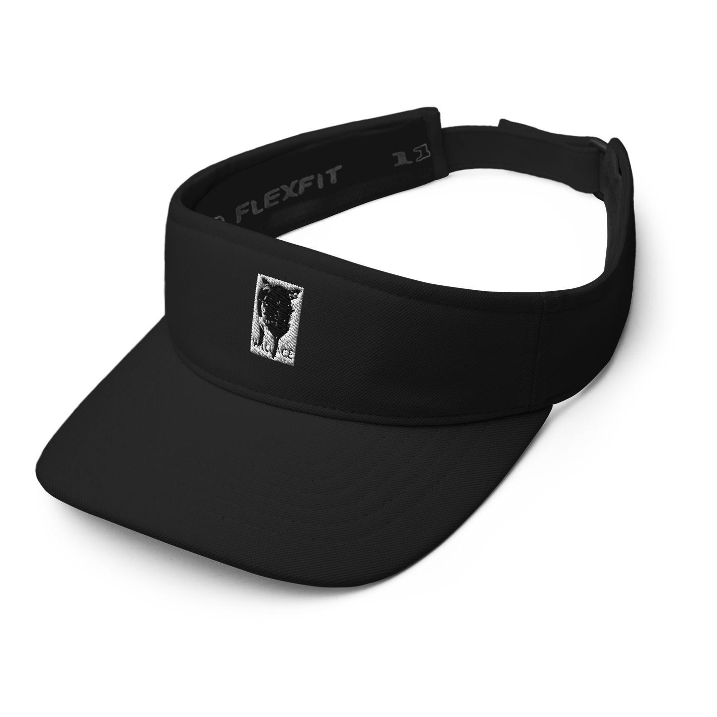 Visor