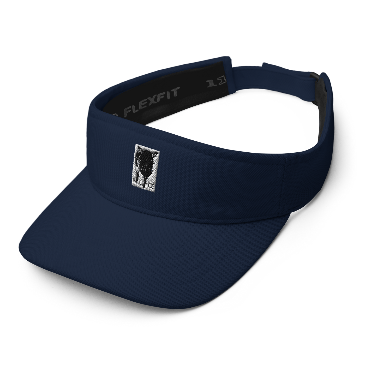 Visor