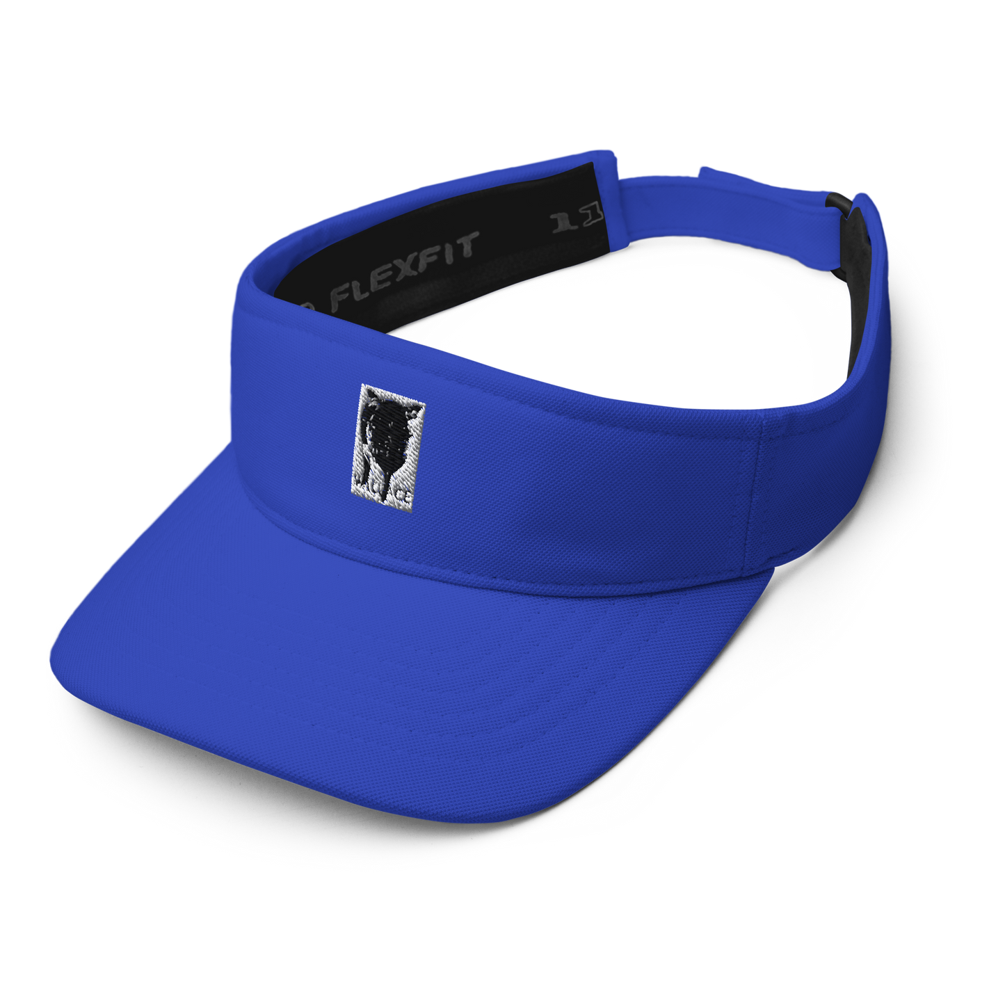 Visor