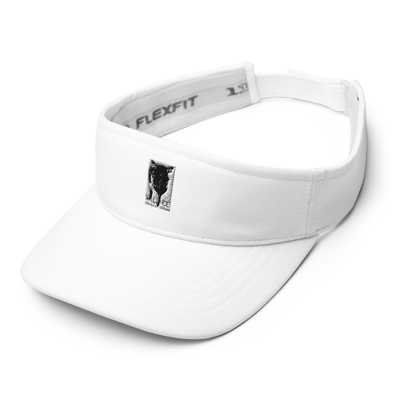 Visor